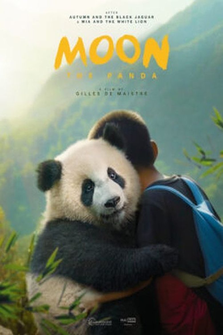Moon, a panda plakátja