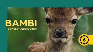 Bambi – Egy élet az erdőben plakátja