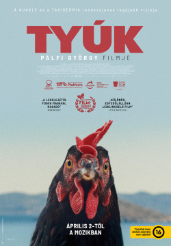 Tyúk